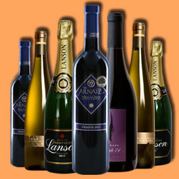 智能化且具有学习能力的轰炸电话号码网站